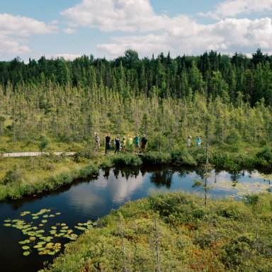 biking at bog path at paul smiths