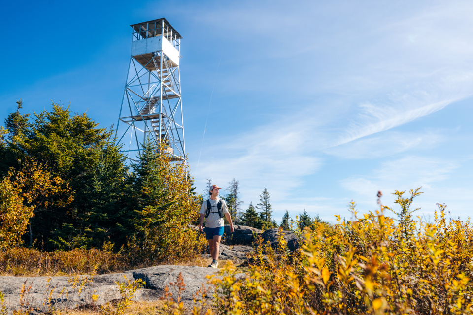The view of a hiker in front of a fire tower