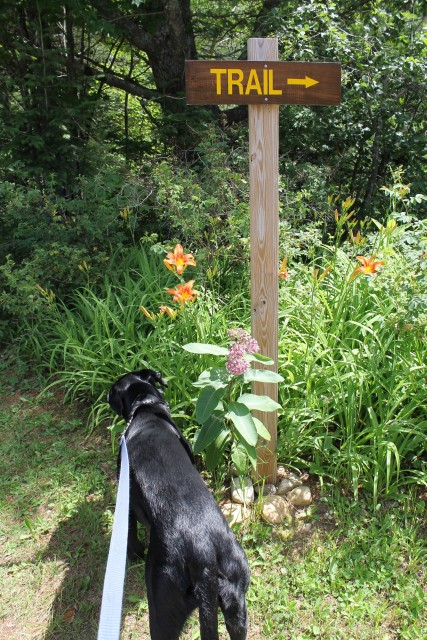 He's excited to get on the trail!