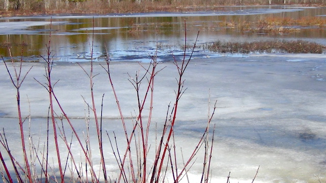 You might have to launch in ice, as seen in this shore in mid-April.