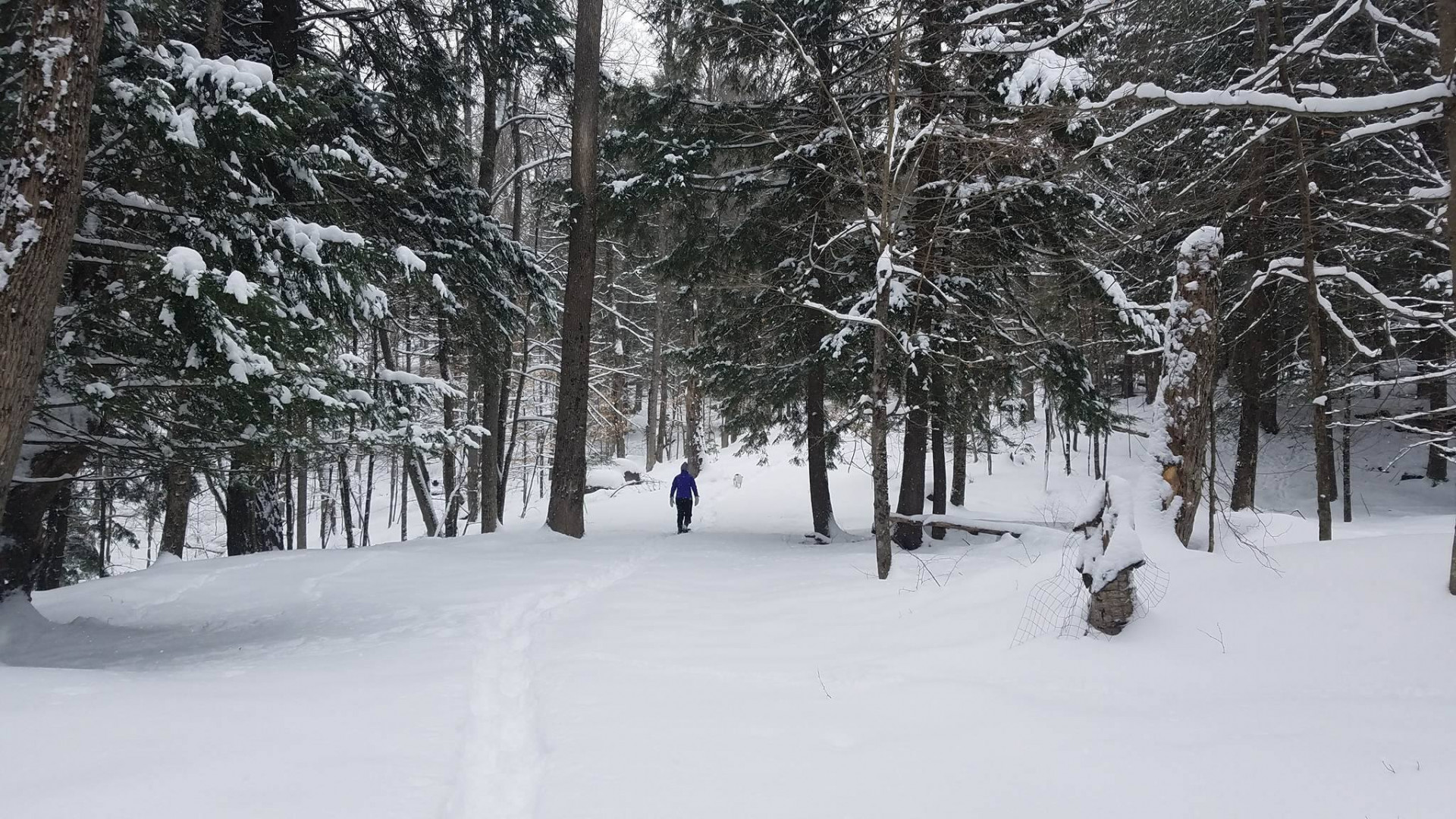 Get out and snowshoe! Saranac Lake, Adirondacks, New York