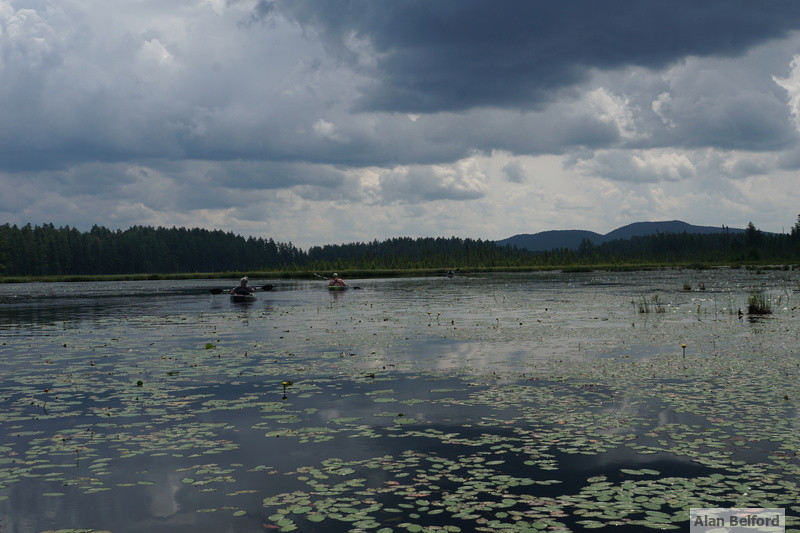 Paddling And Birding Along Quebec Brook | Saranac Lake, Adirondacks ...