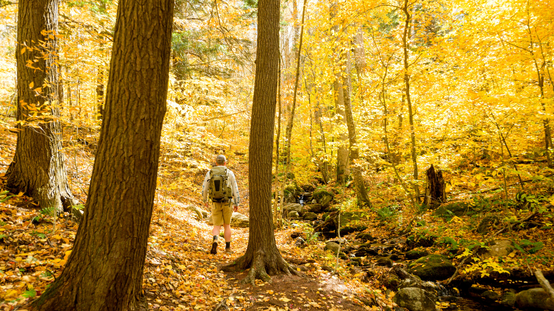 Safe Hiking During Hunting Season