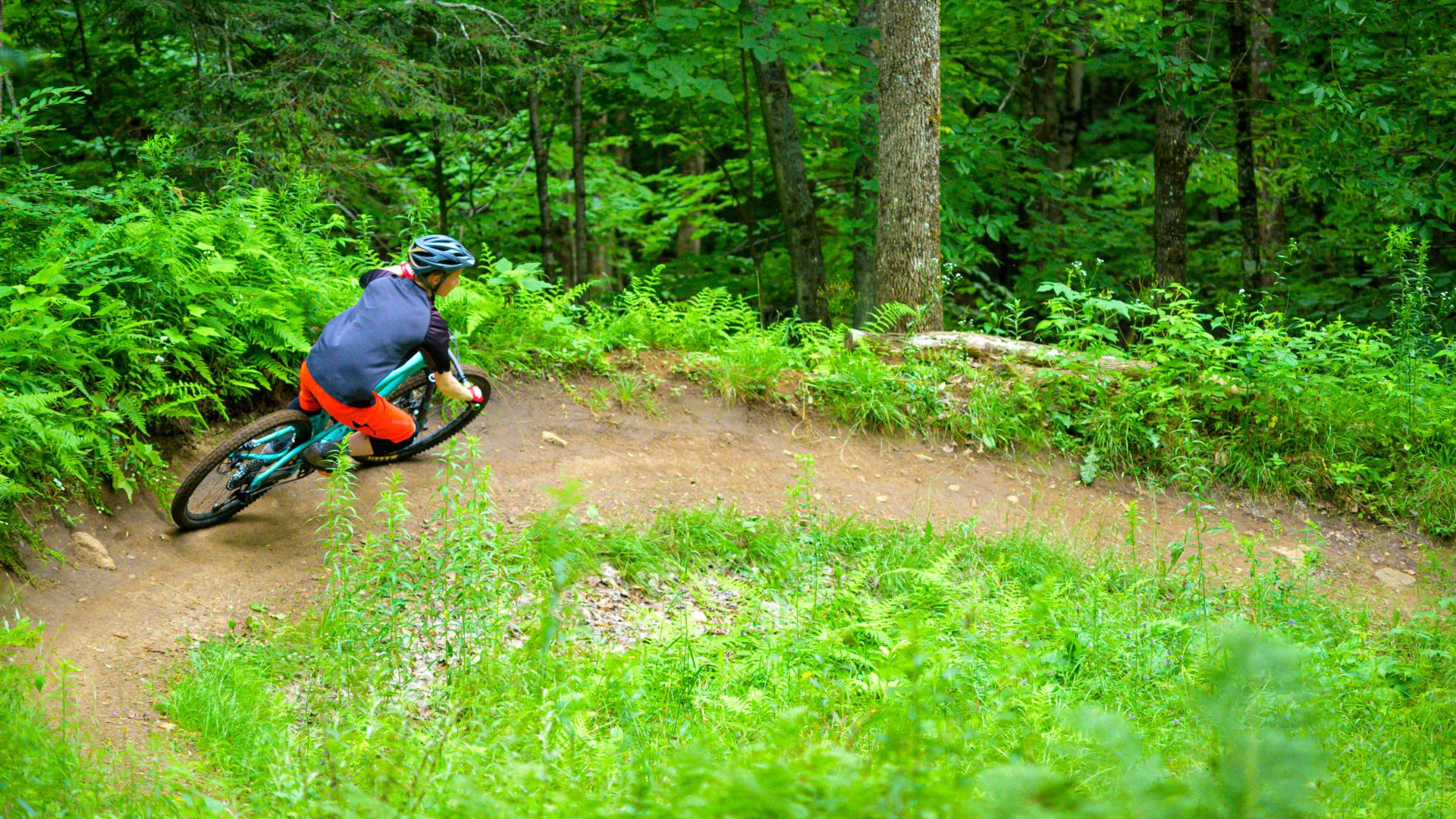 Pisgah mountain clearance biking