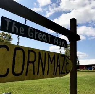 The Great Adirondack Corn Maze Saranac Lake Adirondacks