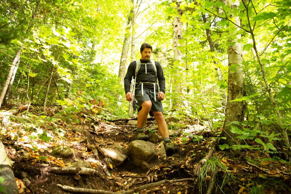 A hiker descends a root-covered trail in a bright green forest.