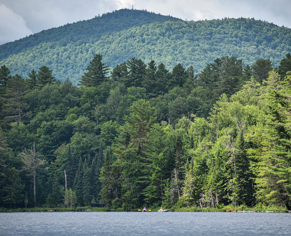 Two kayakers on a pond with a large mountain and fire tower in the background.