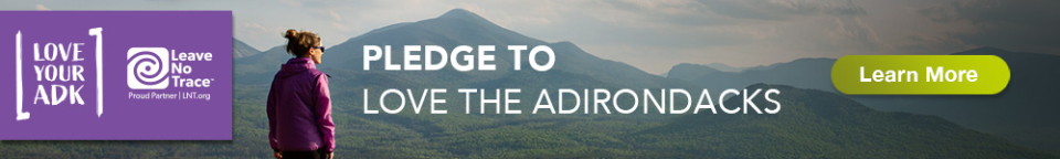 Banner for the Love Your ADK site with woman in purple jacket staring at mountains with the text PLEDGE TO LOVE THE ADIRONDACKS and a button saying "Learn More"