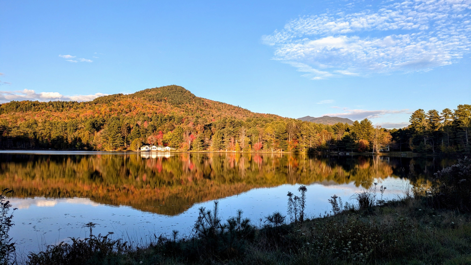 A lake side with trees along a crystal clear lake.