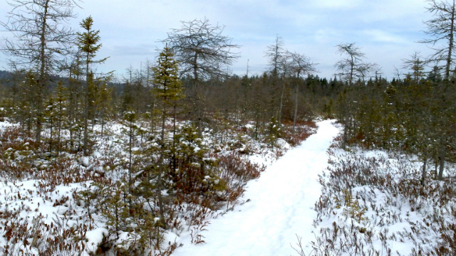 The easiest of trails have some great vistas