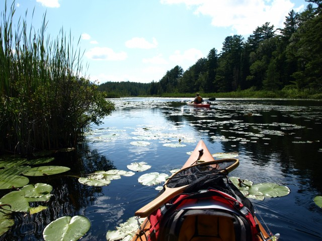 Jones Pond