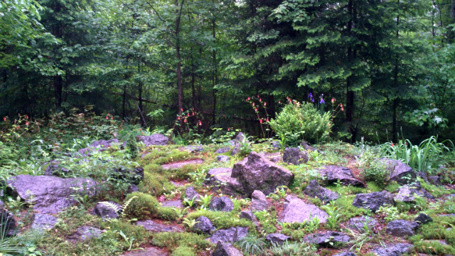 the Fred Heutte rock garden, with a Presidential commendation from Calvin Coolidge