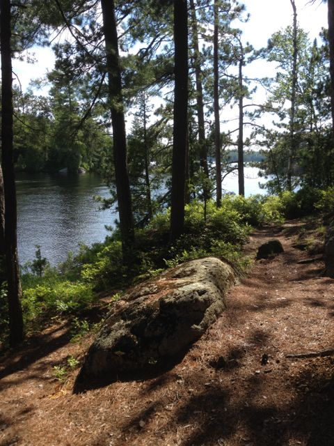 View from the top of our One Particular Island (Pirate Island)