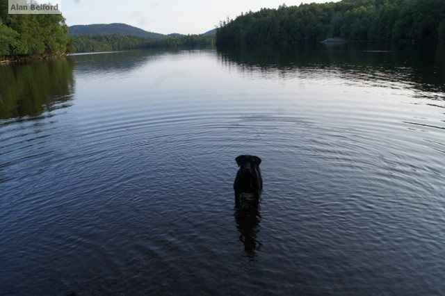 Wren Put-in Moose Pond