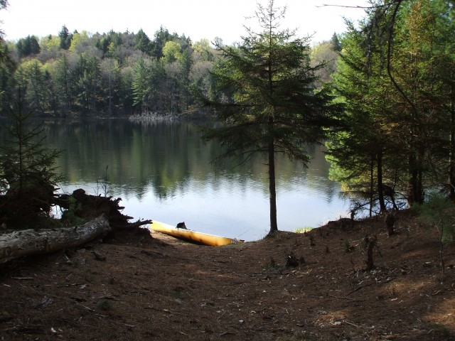 Grass Pond