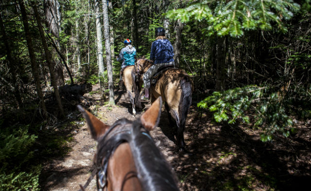 each horse has their own concept of "personal space"