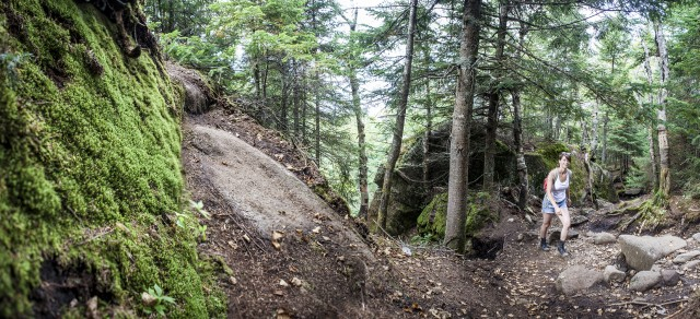 Hiking Ampersand