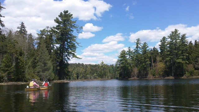 the full glory of the wilderness, via St Regis Lake, unfolds in front of the canoe