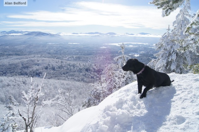 Wren - Baker Summit