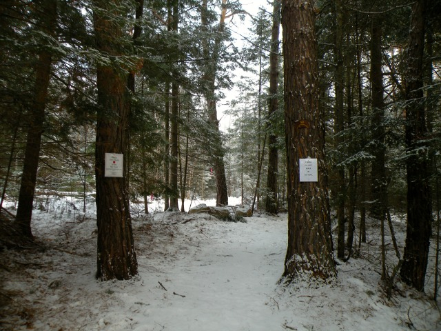 The Jackrabbit Trail can be joined at this Saranac Lake trailhead