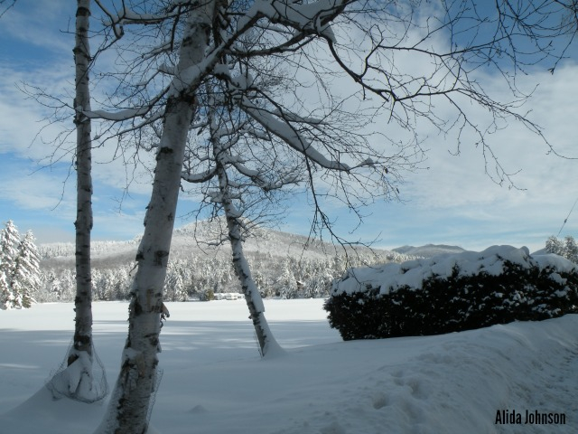 that expanse of white is the pond... we don't have many open fields in the Adirondacks!