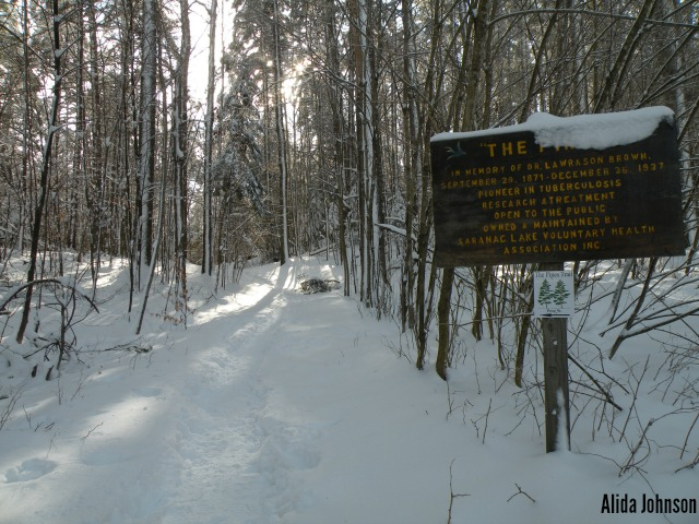 the Pines northern trailhead ends across the road from Moody Pond