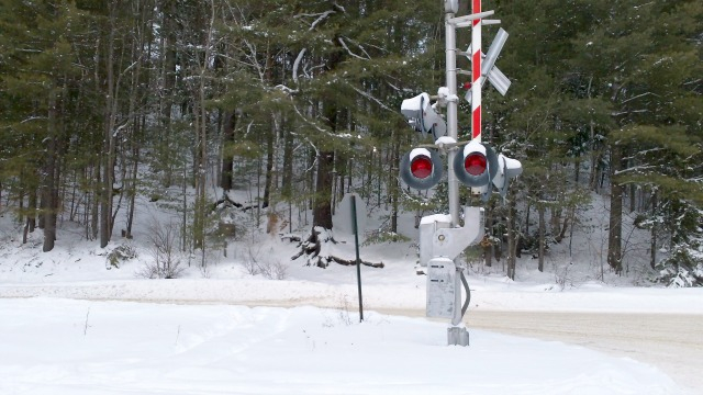 Cross the tracks to stand at the southern trailhead to The Pines