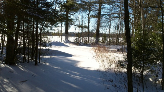 Our Lake Clear Beach in winter. Blue sky, mountain air, pristine snow. Check!