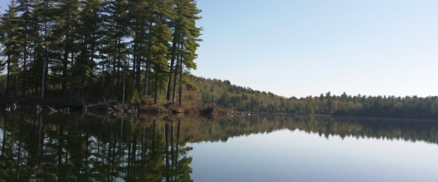 Little Clear Pond in the early morning stillness