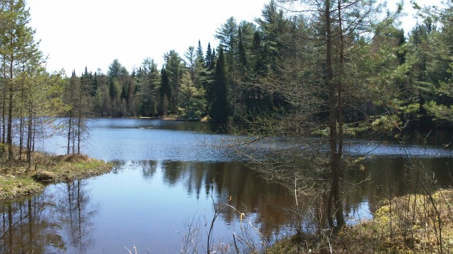 the Saranac River flows from Denny Park all the way to Bloomingdale. A fine morning or afternoon on the water!