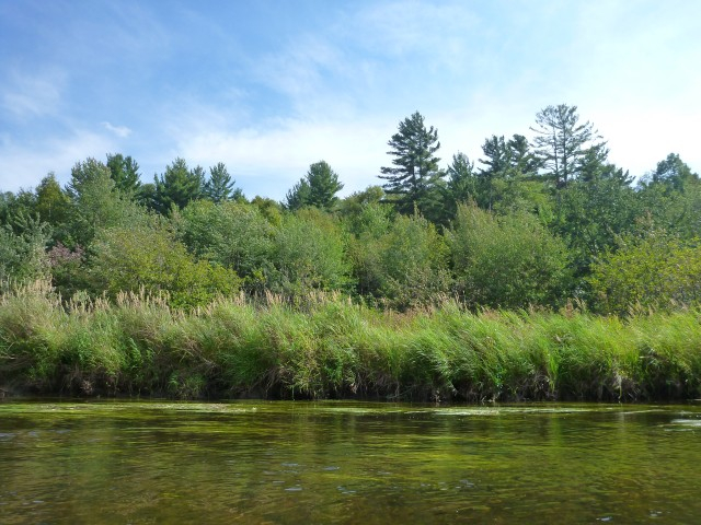 The Saranac - free and open for business!