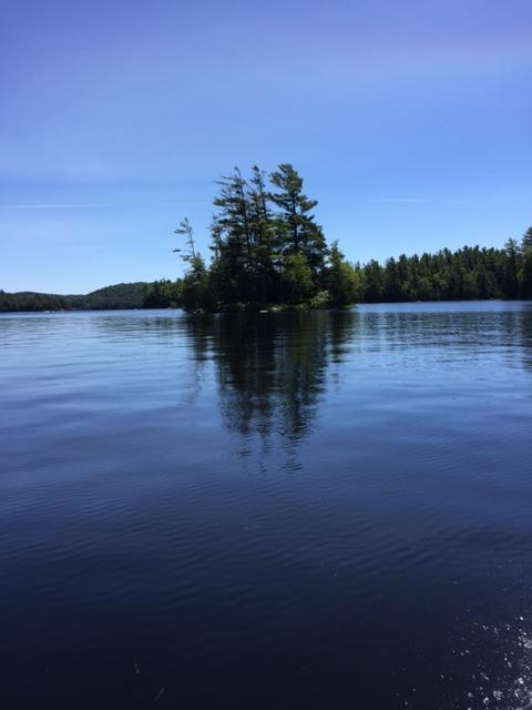 The green leaves and blue water which were the subject of our summer dreams.