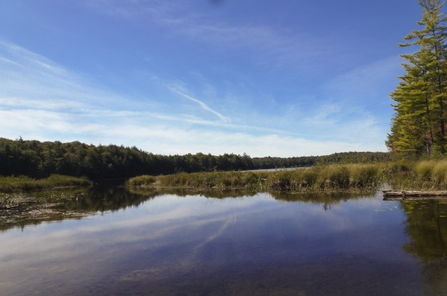 Little Square Pond