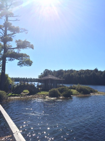 White Pine's Japenese Tea House, one of my favorite places on the tour.