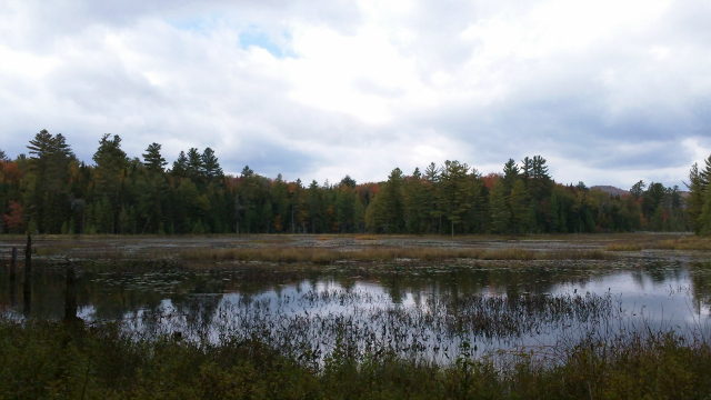 Heron Marsh Trail is only one of the twenty five miles of mostly flat trails at the VIC