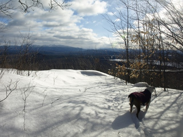 Summit of Jones