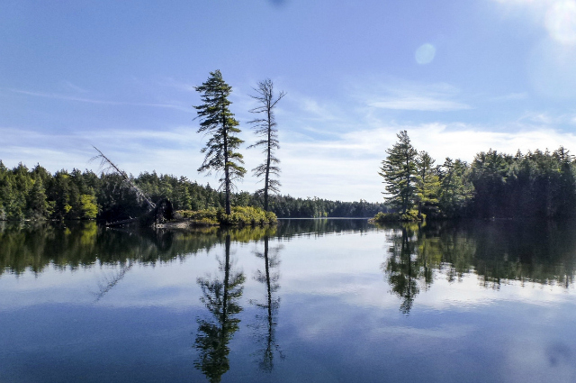 Picture from the water during a canoe trip on the Floodwood Loop