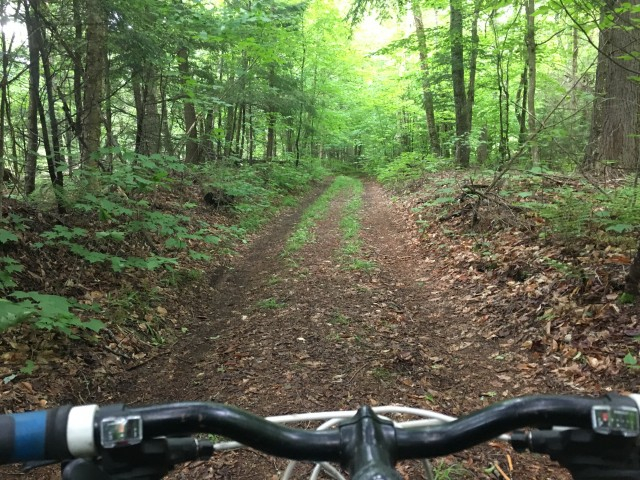 riding in the woods