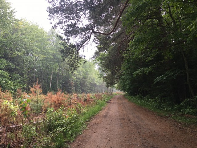 Road next to train tracks