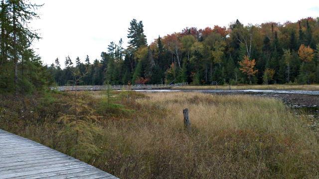 Singing "Down by the Boardwalk" is optional, but enjoyable. These walkways give us access without disturbing the delicate bog vegetation... or getting our feet wet.