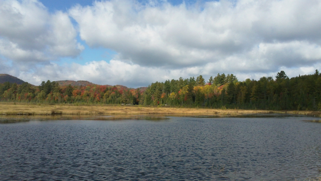 Heron Marsh Trail has pond, bog, and mountain views, with viewing platforms at the most scenic points.