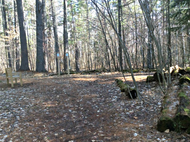 Informative signs and strategic benches make these trails the easiest forest walk imaginable.