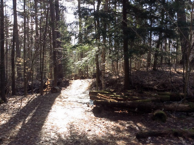 The Pines are a part of Saranac Lake's history as a famous curing center.