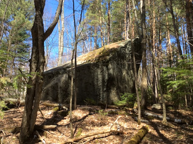 Boulders of every size make for a kind of granite town, with paths to view them from.