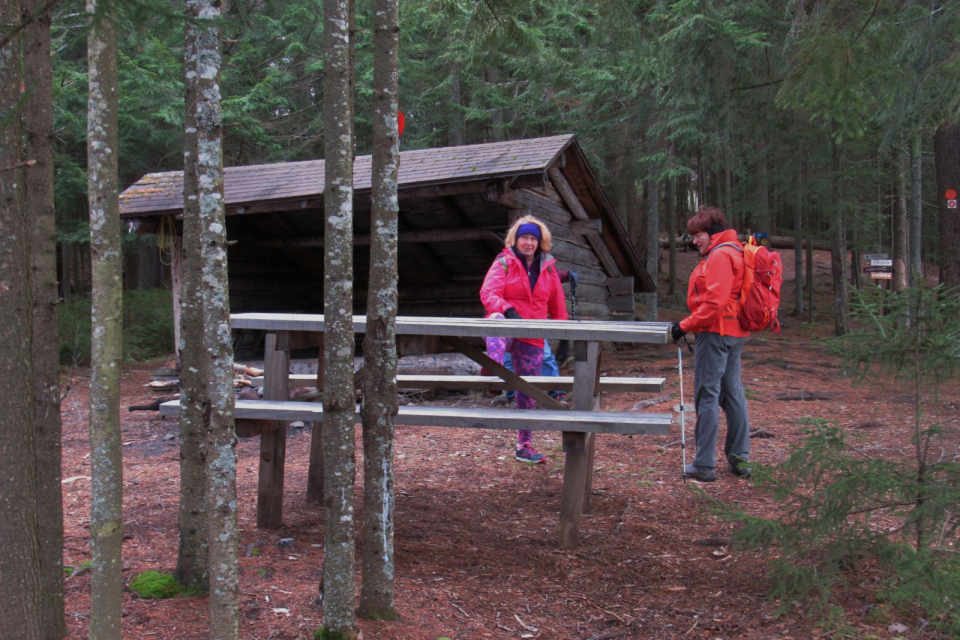 Paul Bunyan tables!