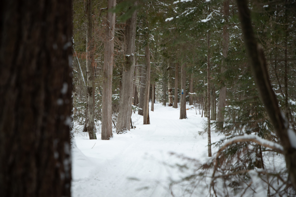 Woods & Waters  Saranac Lake NY