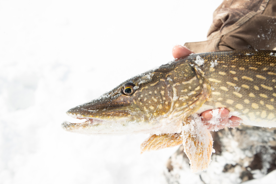 Solar Heat Ice Fishing Shack - Ice Fishing - Outdoor Re-Creation HotSpot  Communities