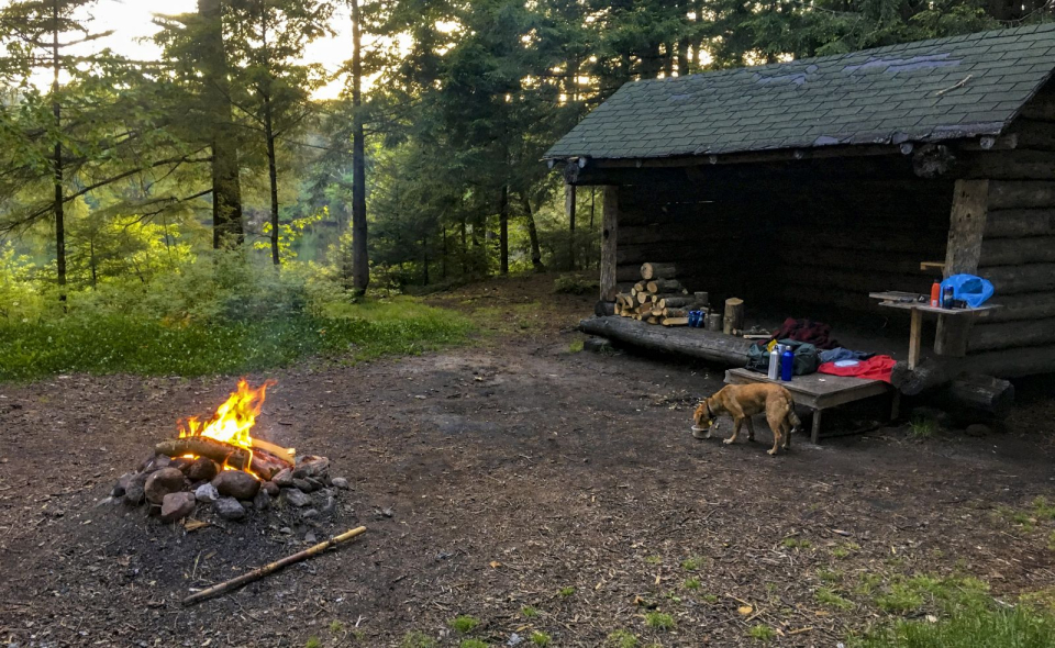 Home sweet lean-to.