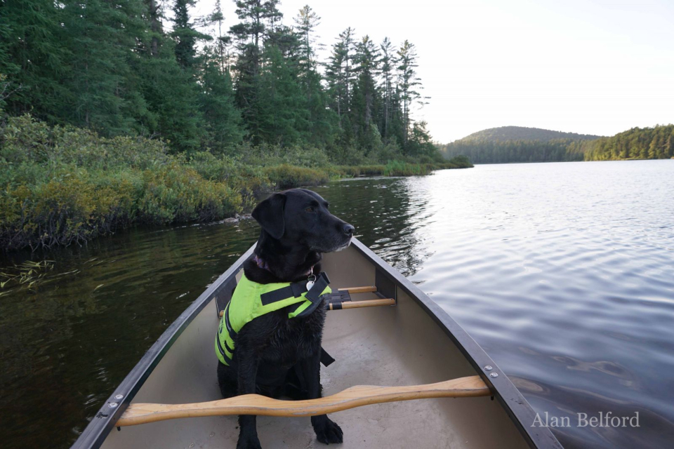 Wren enjoyed the peaceful scenery as we went.