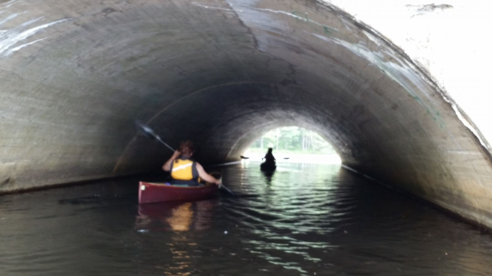 Have fun singing in the tunnel! Don't we all do that?